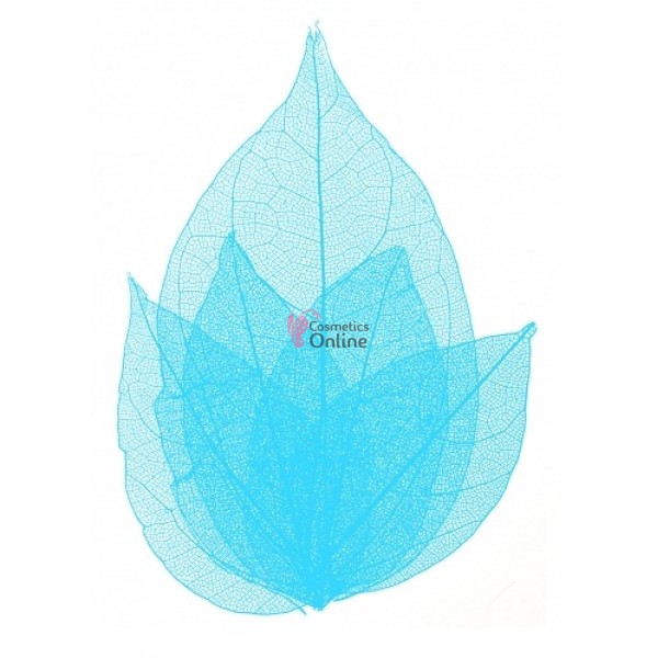 Frunze naturale uscate 4 bucati, Blue